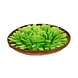 Injoya Snuffelmat Salade - 24 cm Injoya Snuffelmat Salade - 24 cm