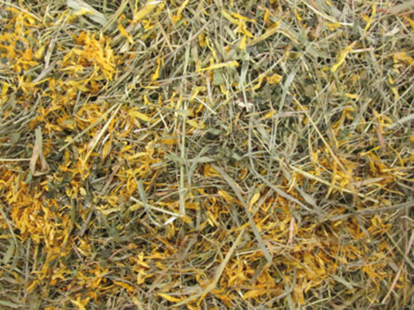 BARN-i Barn-i Kruidenhooi - Goudsbloem en Brandnetel - 500 gram