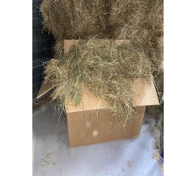 Herbimals Herbimals Pools Kruidenhooi Herbimals Herbimals Pools Kruidenhooi