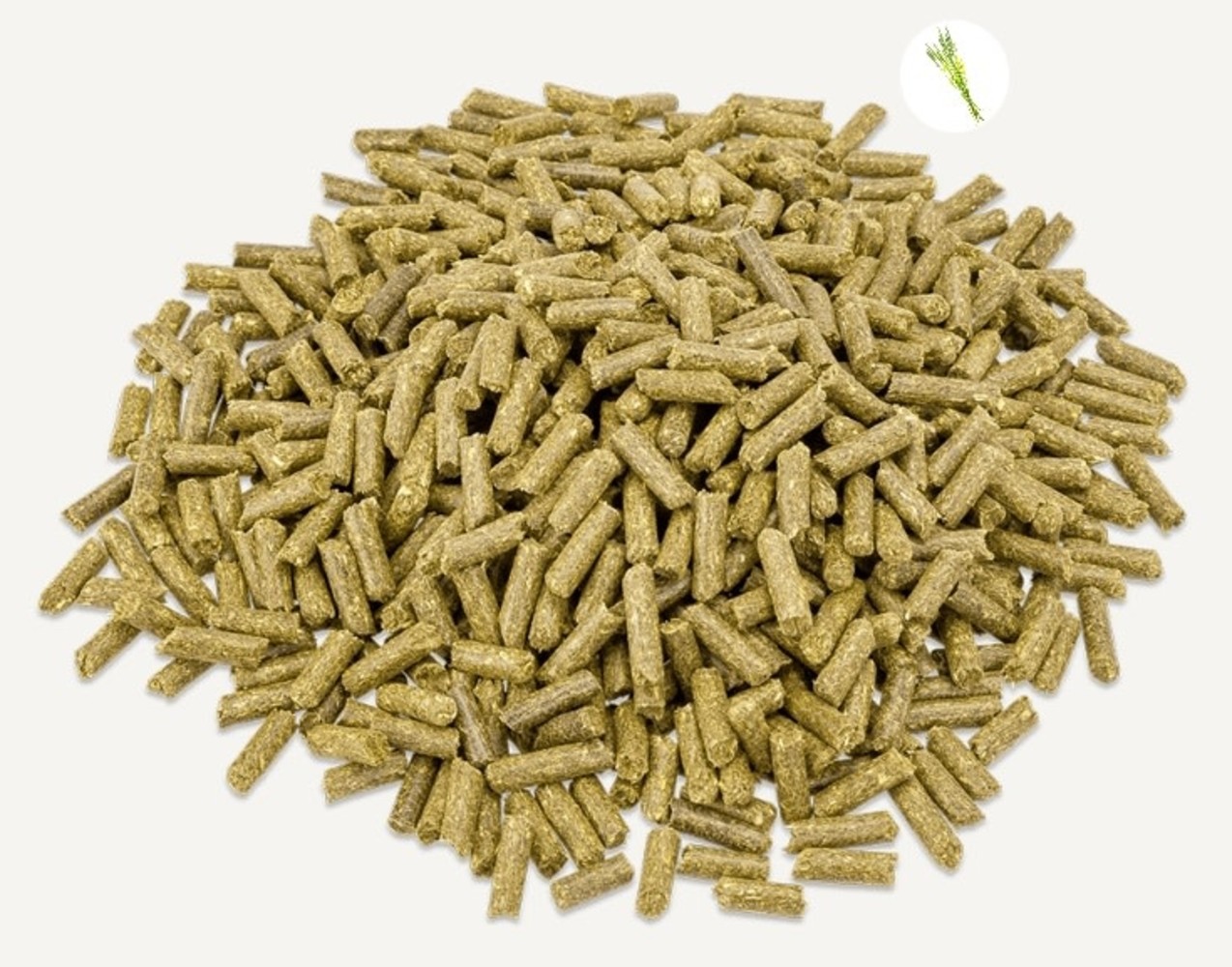 Metazoa Metazoa FitRight Konijn