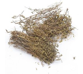 Herbimals Herbimals Tijm - grof Herbimals Herbimals Tijm - grof