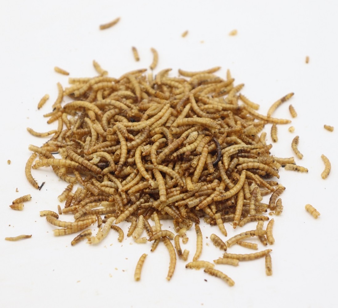 Herbimals Herbimals Meelwormen Herbimals Herbimals Meelwormen