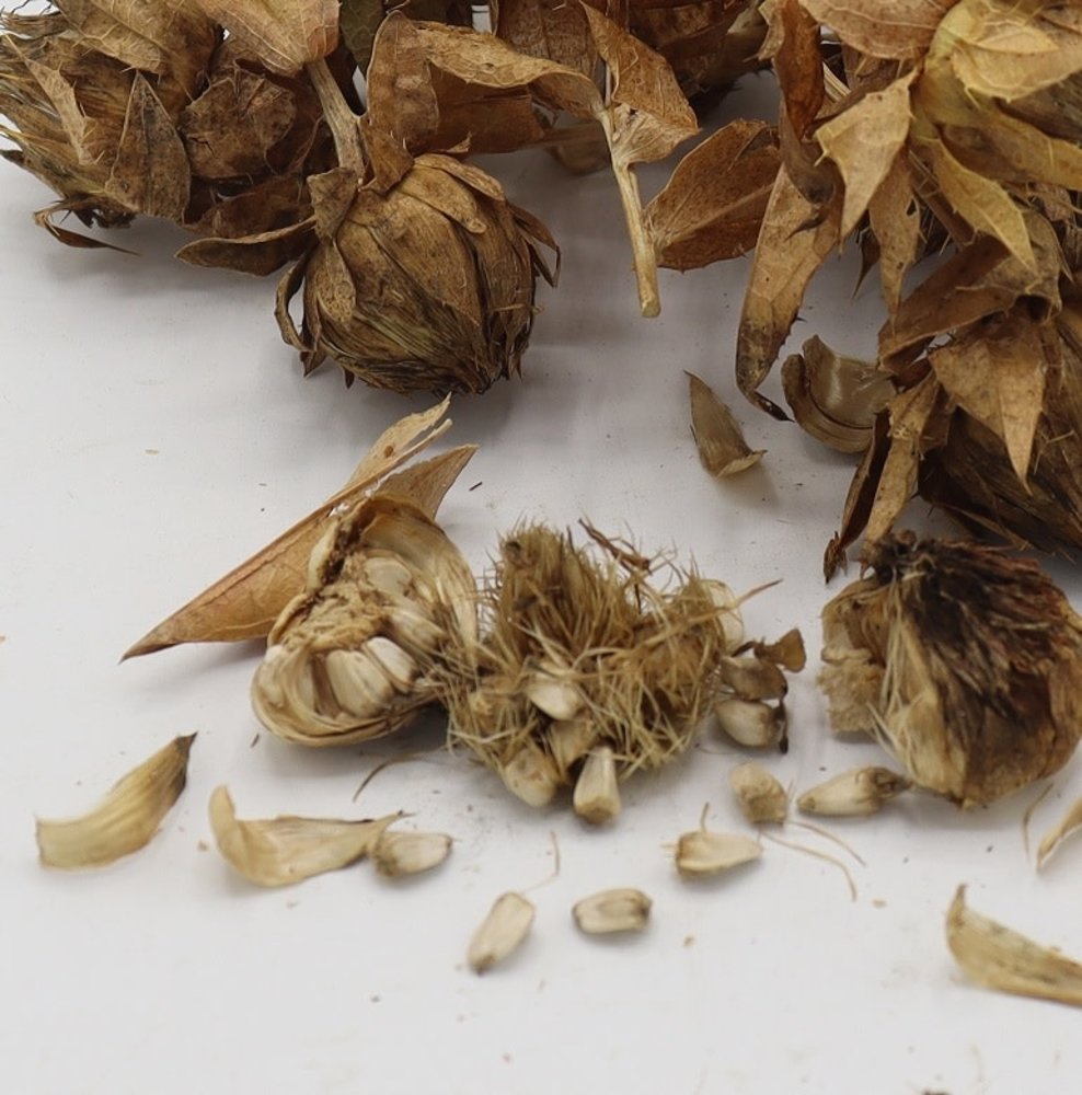 Herbimals Herbimals Kardi bol - 100 gram Herbimals Herbimals Kardi bol - 100 gram