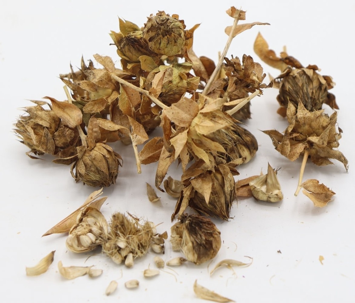 Herbimals Herbimals Kardi bol - 100 gram Herbimals Herbimals Kardi bol - 100 gram