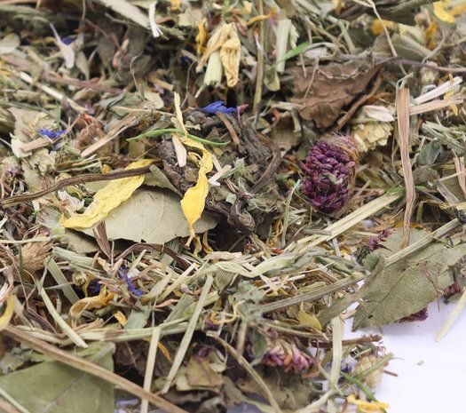 Herbimals Herbimals Chinchilla kruiden feestmaal