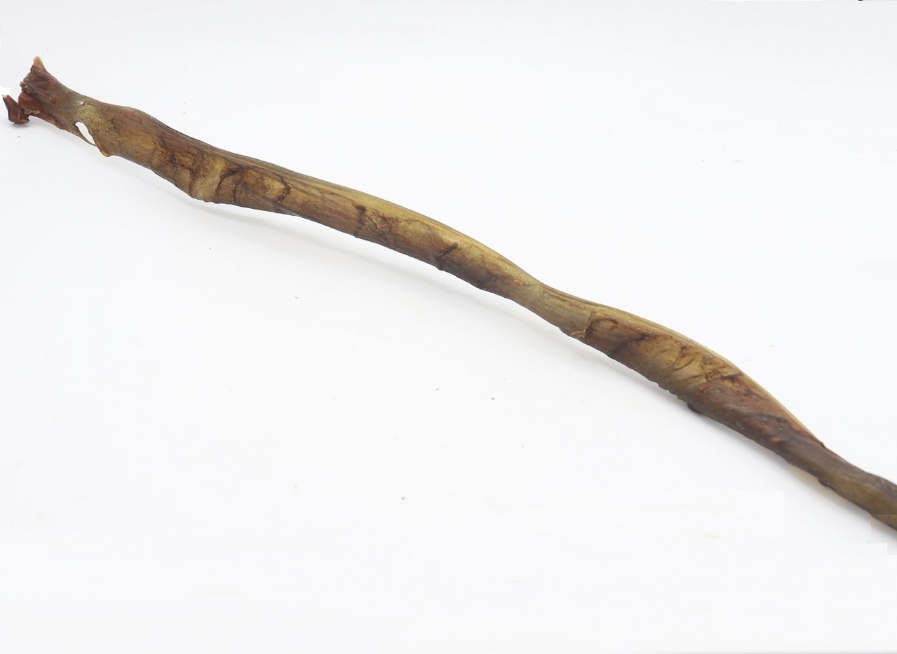 Bark-Bite Bark-Bite Kamelenhuid  70 cm - 1 stuk Bark-Bite Bark-Bite Kamelenhuid  70 cm - 1 stuk