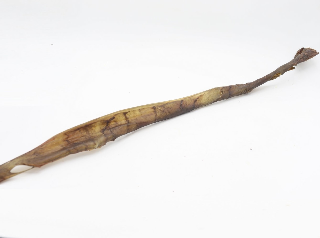 Bark-Bite Bark-Bite Kamelenhuid  70 cm - 1 stuk Bark-Bite Bark-Bite Kamelenhuid  70 cm - 1 stuk