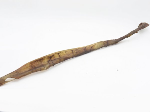 Bark-Bite Bark-Bite Kamelenhuid  70 cm - 1 stuk Bark-Bite Bark-Bite Kamelenhuid  70 cm - 1 stuk