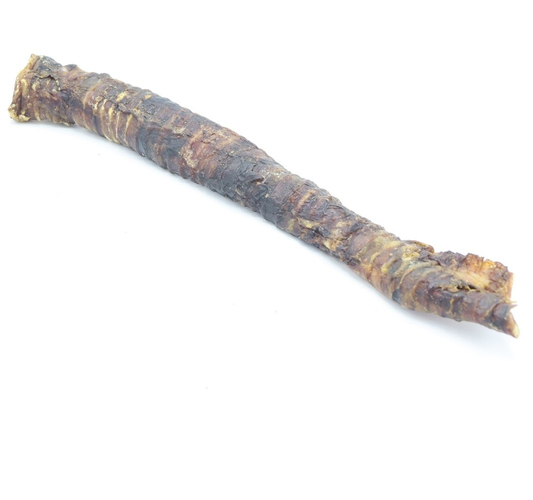 Bark-Bite Bark-Bite Paardenluchtpijp Lang – 1 stuk Bark-Bite Bark-Bite Paardenluchtpijp Lang – 1 stuk