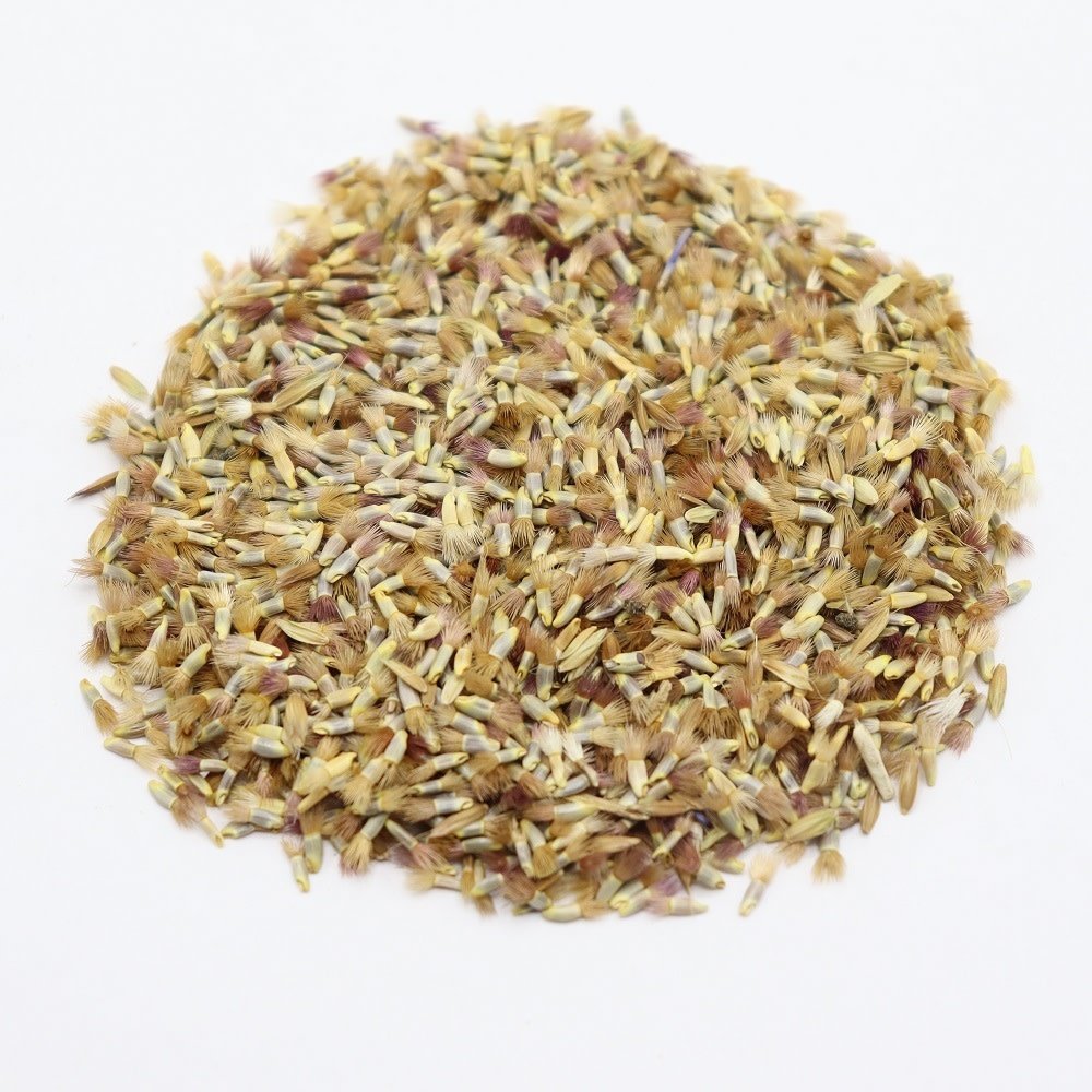 Herbimals Herbimals Korenbloem zaden - Centaurea cyanus - 1 gram Herbimals Herbimals Korenbloem zaden - Centaurea cyanus - 1 gram