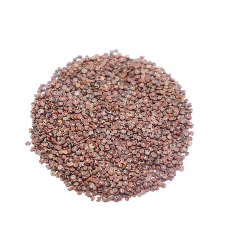 Herbimals Herbimals Echte Heemst zaden - Althea officinalis - 1 gram Herbimals Herbimals Echte Heemst zaden - Althea officinalis - 1 gram