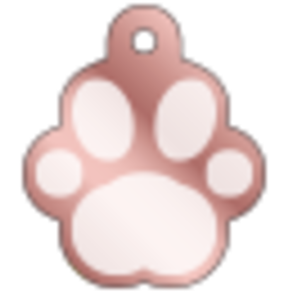IMARC Hondenpenning - Pootvorm Rose Goud met Zilver Groot IMARC Hondenpenning - Pootvorm Rose Goud met Zilver Groot