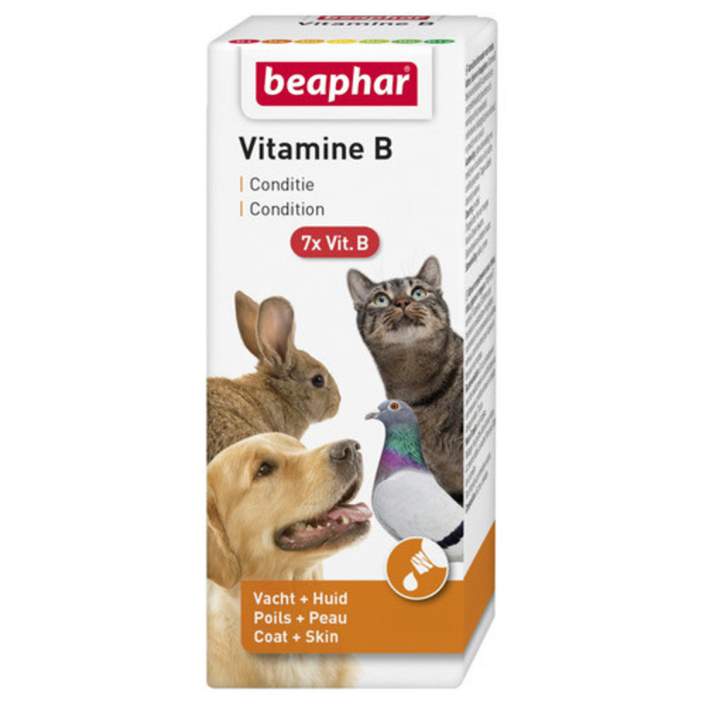 Beaphar Beaphar Vitamine B - 50 ml Beaphar Beaphar Vitamine B - 50 ml