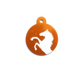 IMARC Paardenpenning – Rond – Oranje - Groot Ø3 cm IMARC Paardenpenning – Rond – Oranje - Groot Ø3 cm
