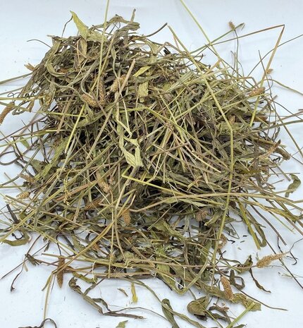 Herbimals Herbimals Smalle weegbree - extra grof - 1 kilo Herbimals Herbimals Smalle weegbree - extra grof - 1 kilo