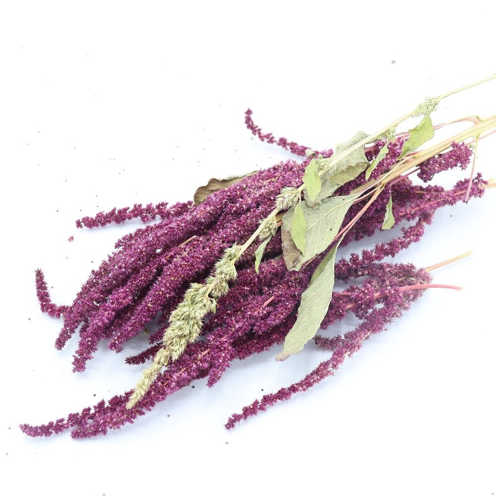 Herbimals Herbimals Amarant - 3 stuks Herbimals Herbimals Amarant - 3 stuks