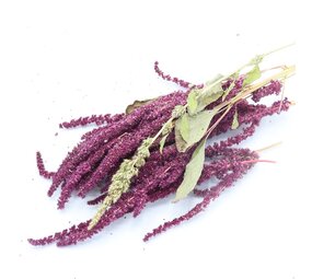 Herbimals Herbimals Amarant - 3 stuks Herbimals Herbimals Amarant - 3 stuks