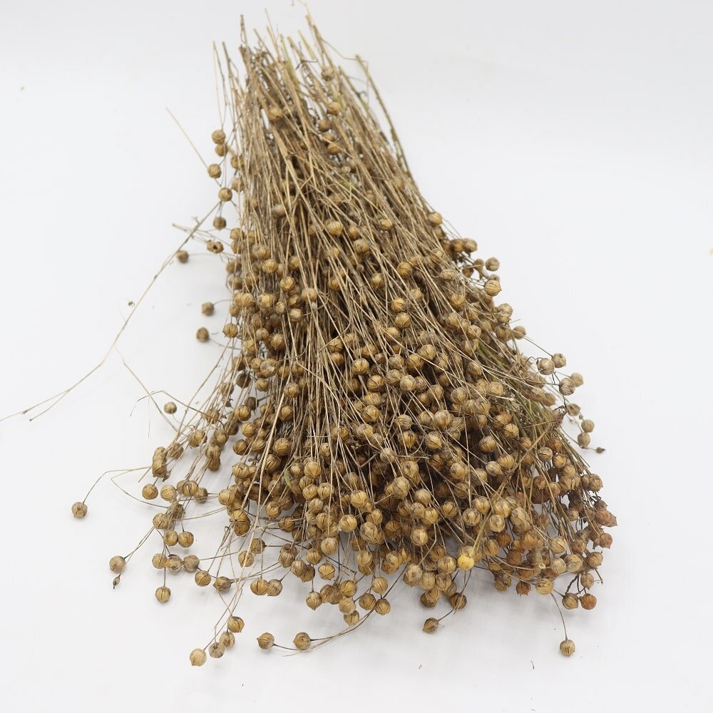 Herbimals Herbimals Lijnzaad Vlas 100 gram Herbimals Herbimals Lijnzaad Vlas 100 gram