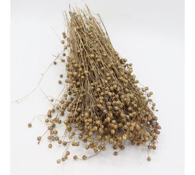 Herbimals Herbimals Lijnzaad Vlas 100 gram Herbimals Herbimals Lijnzaad Vlas 100 gram