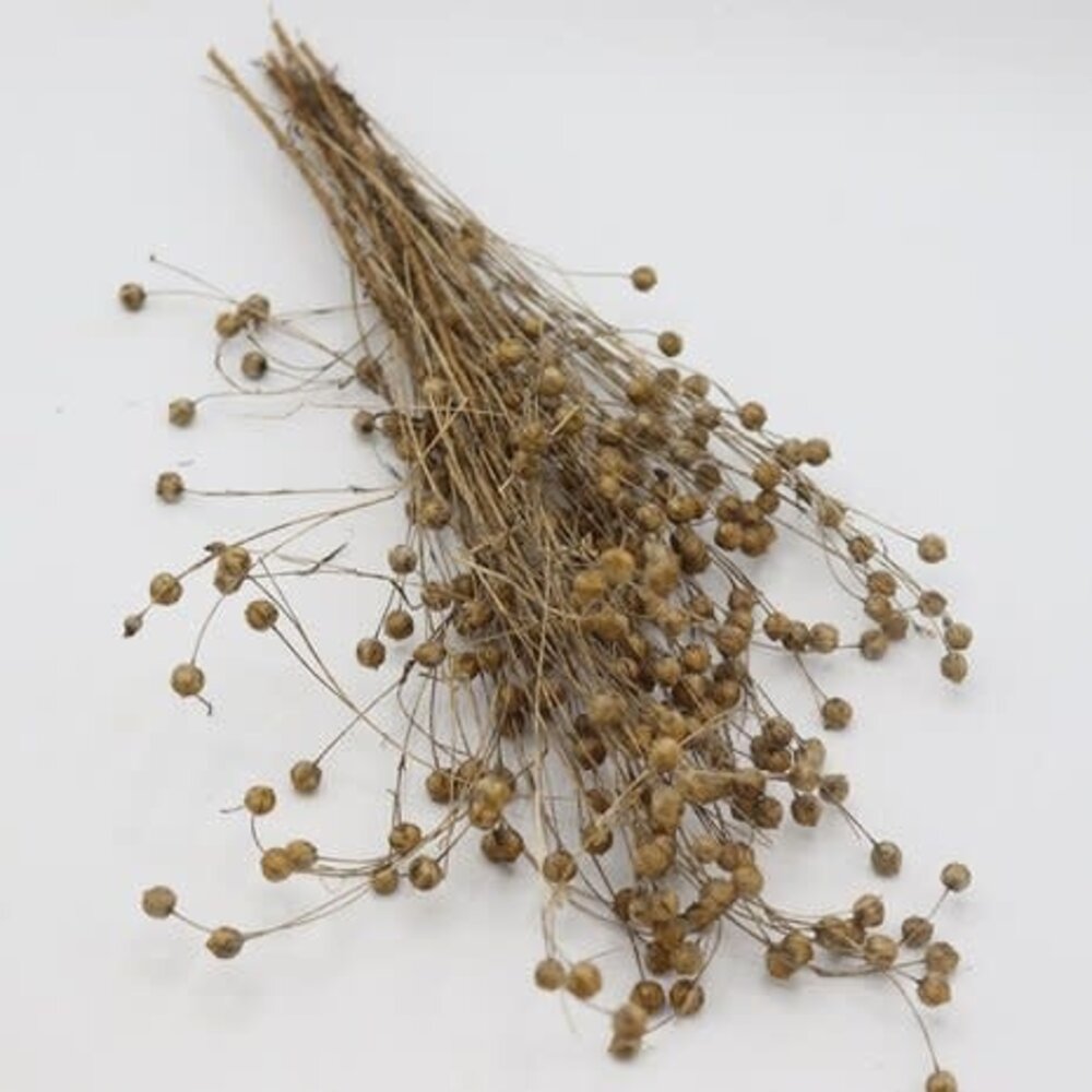 Herbimals Herbimals Lijnzaad Vlas 30 gram Herbimals Herbimals Lijnzaad Vlas 30 gram