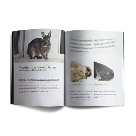 Lang Leven Konijnen Magazine Lang Leven Konijnen - Nummer 8 Lang Leven Konijnen Magazine Lang Leven Konijnen - Nummer 8