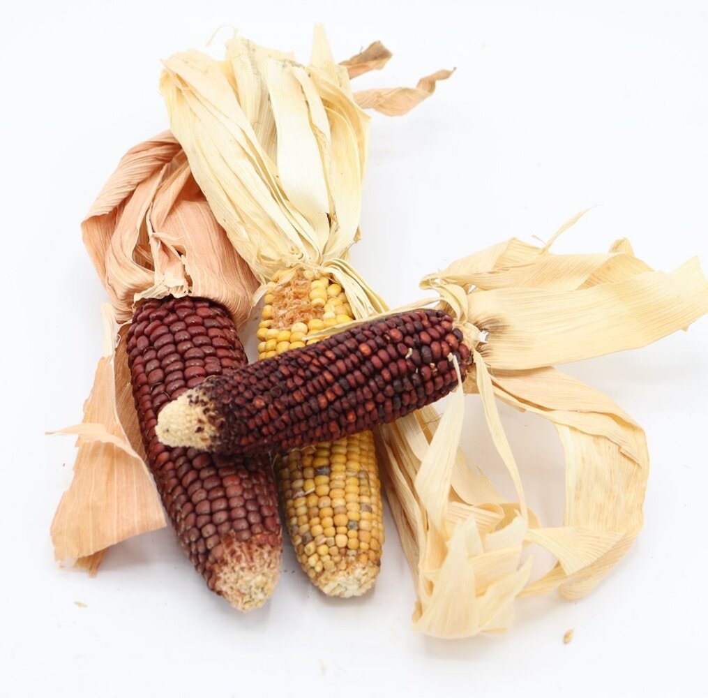 Herbimals Herbimals Bonte Mini Maïskolven - 1 kilo Herbimals Herbimals Bonte Mini Maïskolven - 1 kilo