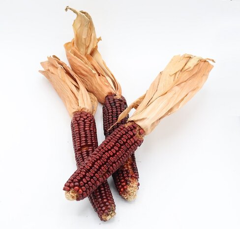 Herbimals Herbimals Bonte Mini Maïskolven - 1 kilo Herbimals Herbimals Bonte Mini Maïskolven - 1 kilo