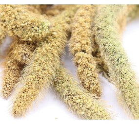 Herbimals Herbimals Vossenstaartgierst - 100 gram Herbimals Herbimals Vossenstaartgierst - 100 gram