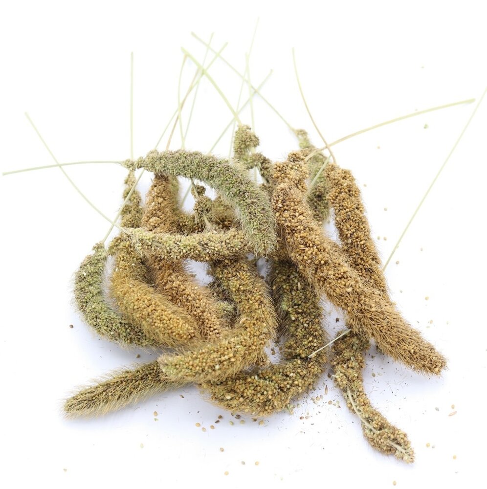 Herbimals Herbimals Vossenstaartgierst - 100 gram Herbimals Herbimals Vossenstaartgierst - 100 gram