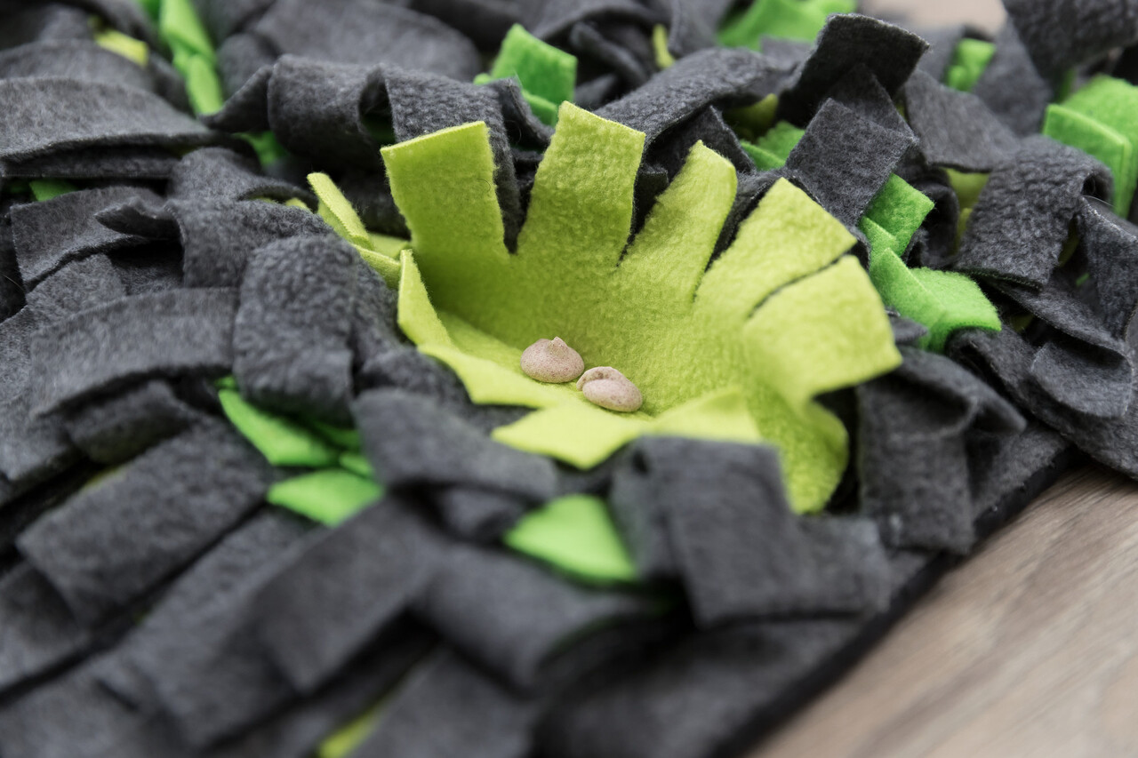 Trixie Trixie Snuffelmat - 27x20 cm - Grijs-Groen Trixie Trixie Snuffelmat - 27x20 cm - Grijs-Groen