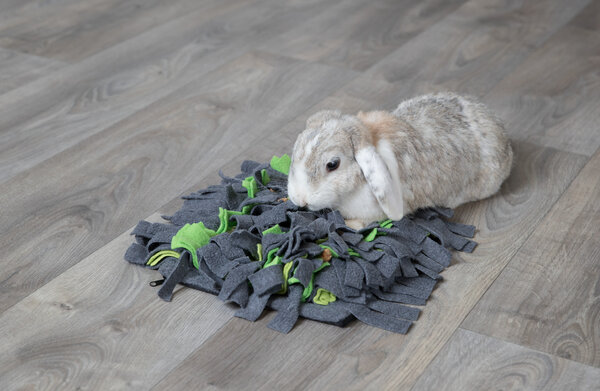 Trixie Trixie Snuffelmat - 27x20 cm - Grijs-Groen Trixie Trixie Snuffelmat - 27x20 cm - Grijs-Groen