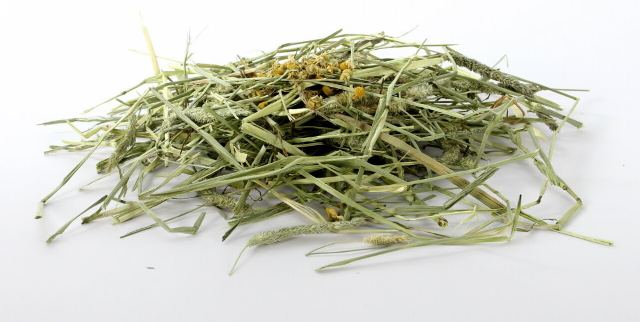 ESVE Esve Timothy Hay - Kamille en Paardenbloem - 600 gram ESVE Esve Timothy Hay - Kamille en Paardenbloem - 600 gram