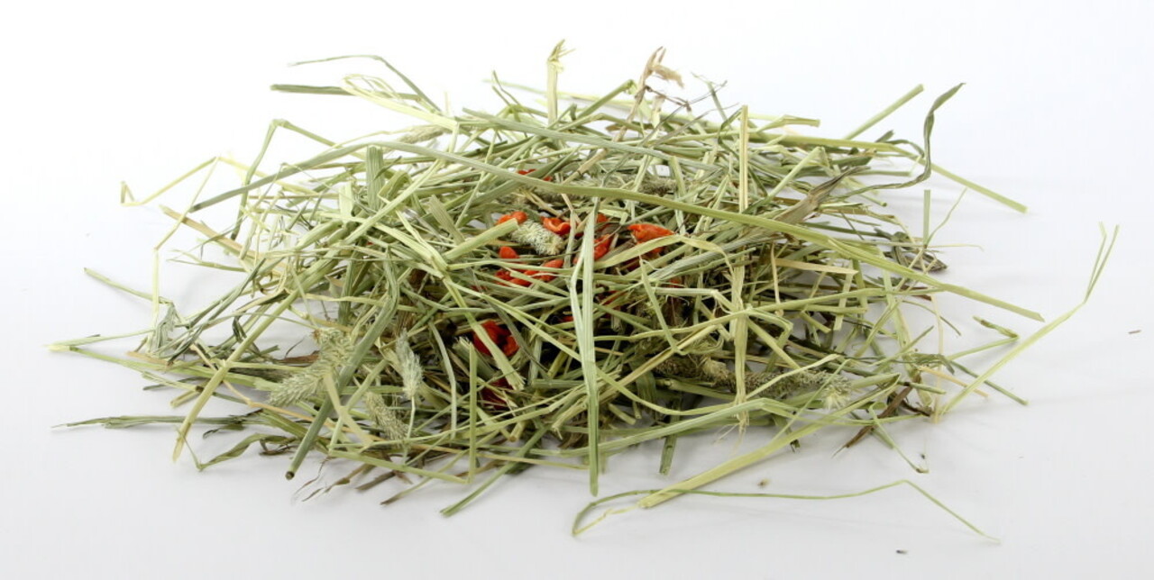 ESVE Esve Timothy Hay - Echinacea en Wortel - 600 gram ESVE Esve Timothy Hay - Echinacea en Wortel - 600 gram