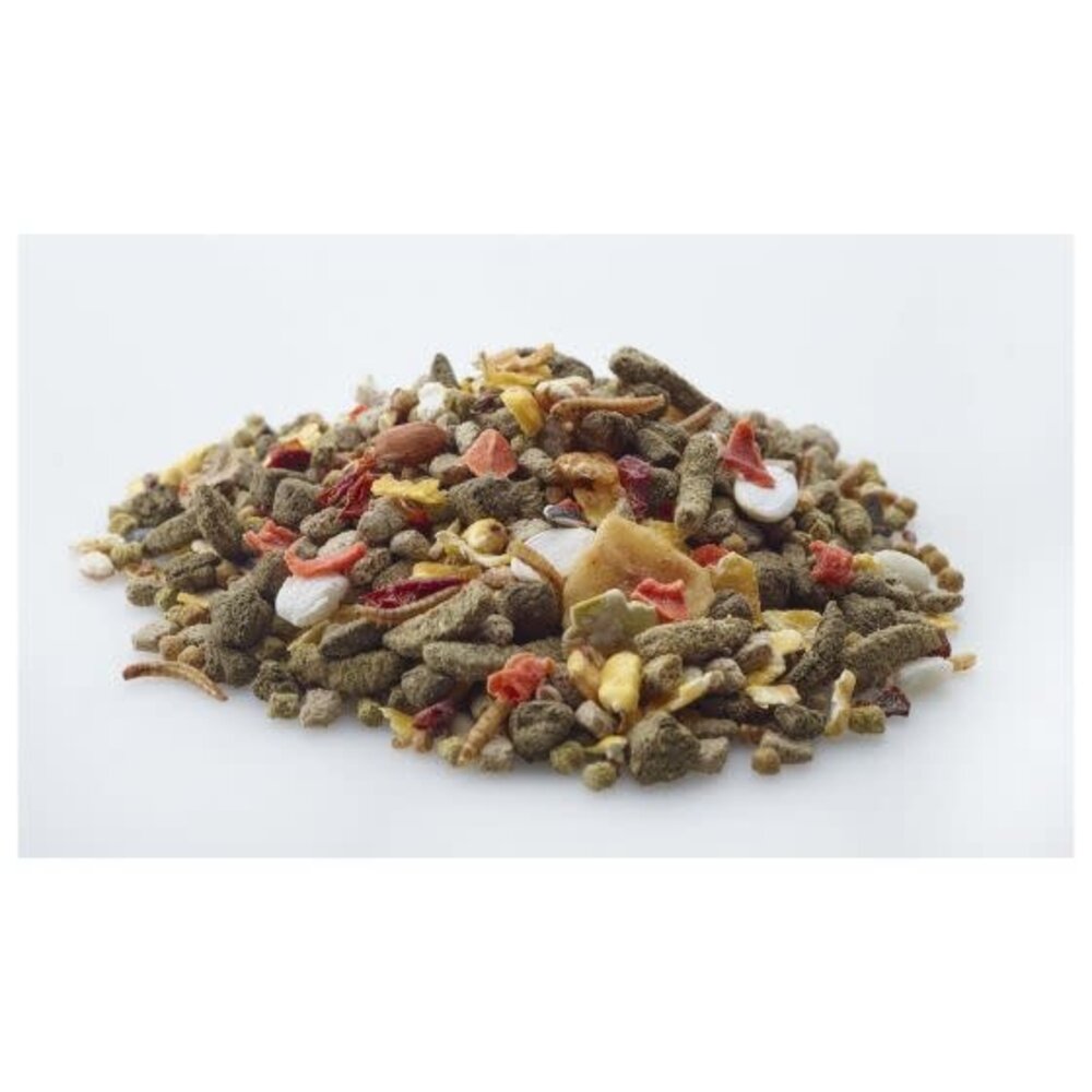 Versele-Laga Versele-Laga Nature Gerbil - 700 gram Versele-Laga Versele-Laga Nature Gerbil - 700 gram