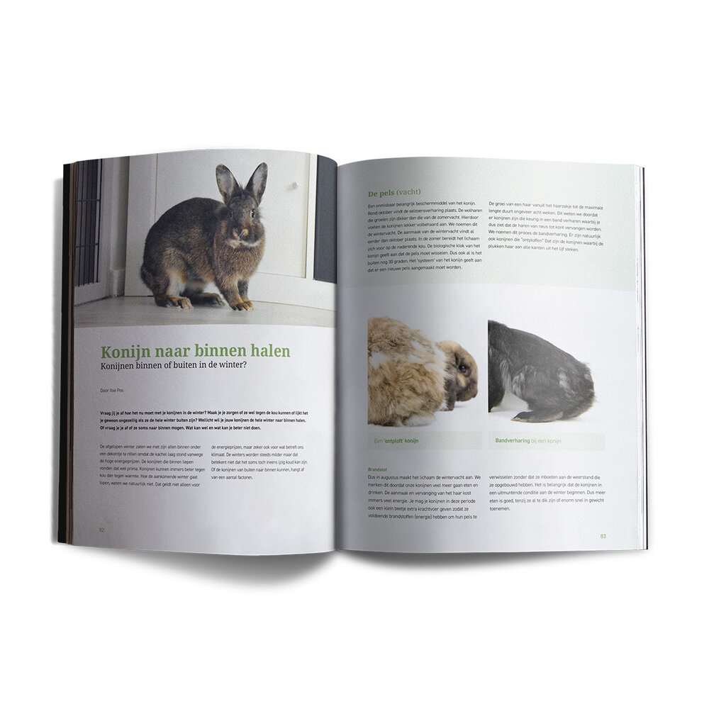 Lang Leven Konijnen Magazine - Leespakket Set nummer 1-8 Lang Leven Konijnen Magazine - Leespakket Set nummer 1-8