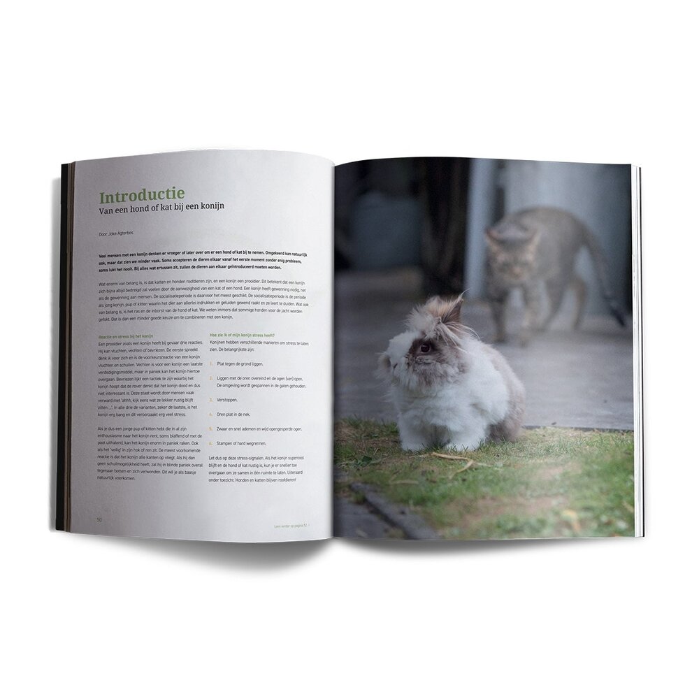 Lang Leven Konijnen Magazine - Leespakket Set nummer 1-8 Lang Leven Konijnen Magazine - Leespakket Set nummer 1-8