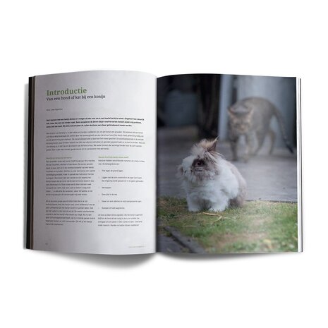 Lang Leven Konijnen Magazine - Leespakket Set nummer 1-8 Lang Leven Konijnen Magazine - Leespakket Set nummer 1-8