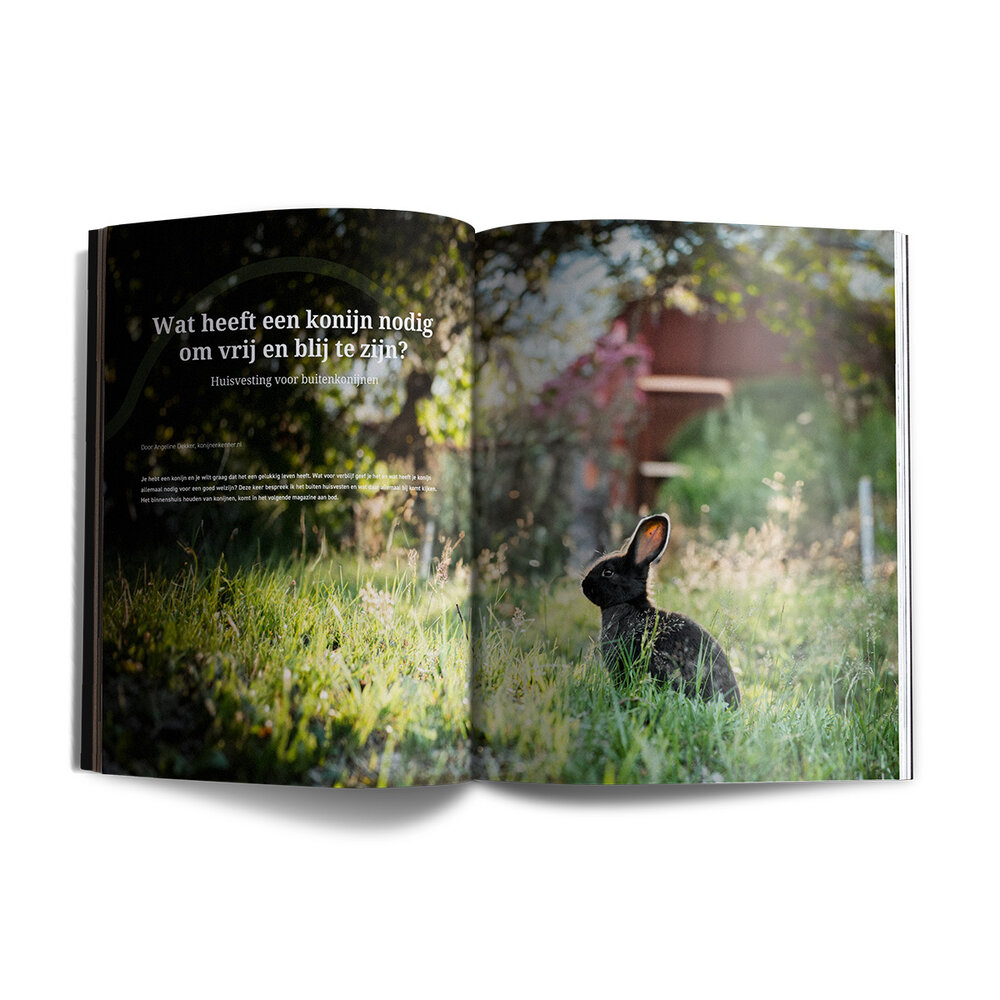 Lang Leven Konijnen Magazine Lang Leven Konijnen - Nummer 9 Lang Leven Konijnen Magazine Lang Leven Konijnen - Nummer 9