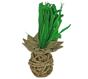 Knaagspeeltje Zeegras Ananas - 20 cm Knaagspeeltje Zeegras Ananas - 20 cm