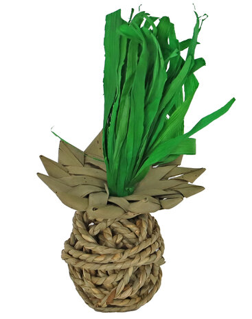 Knaagspeeltje Zeegras Ananas - 20 cm
