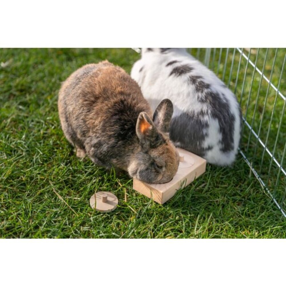 Trixie Konijnen en Knaagdieren Trainingsspel - Snackbox - 14 × 3 × 7 cm Trixie Konijnen en Knaagdieren Trainingsspel - Snackbox - 14 × 3 × 7 cm