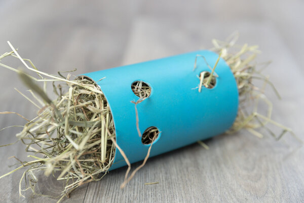 Trixie Snack Roll 2-delig - karton - ø 6 x 11 cm/ø 7 × 14 cm Trixie Snack Roll 2-delig - karton - ø 6 x 11 cm/ø 7 × 14 cm