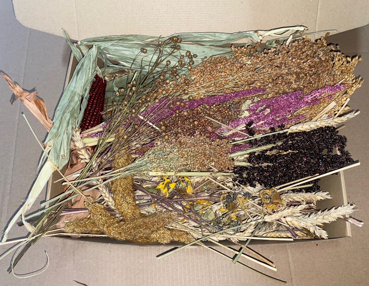 Herbimals Herbimals Stengel Pakket - 1 kilo Herbimals Herbimals Stengel Pakket - 1 kilo