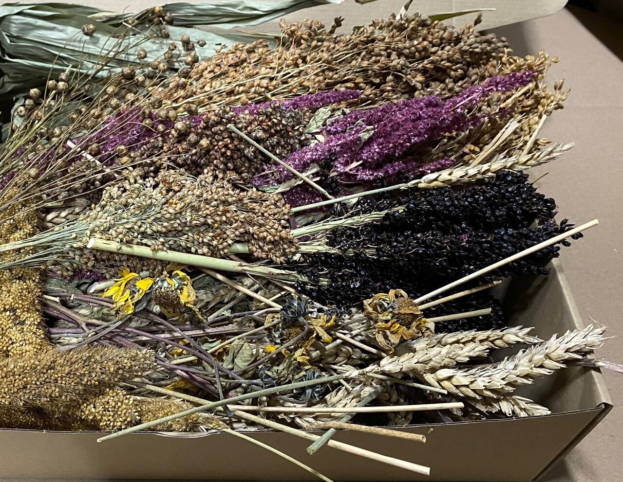 Herbimals Herbimals Stengel Pakket - 1 kilo Herbimals Herbimals Stengel Pakket - 1 kilo