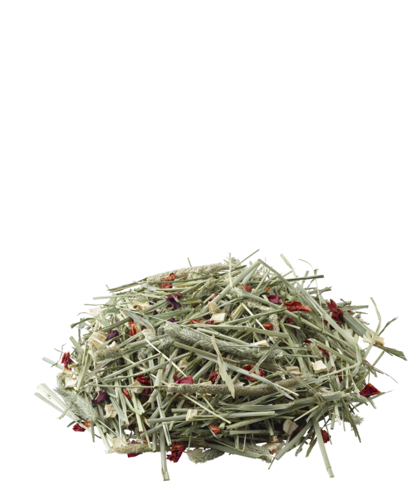 Versele-Laga Versele-Laga Nature Timothy Hay - Paprika en Pastinaak - 500 gram Versele-Laga Versele-Laga Nature Timothy Hay - Paprika en Pastinaak - 500 gram