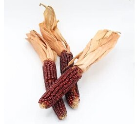 Herbimals Herbimals Bonte Mini Maïskolven - 3 stuks Herbimals Herbimals Bonte Mini Maïskolven - 3 stuks