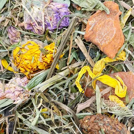 Mixerama Mixerama Bergwiese - Bergweidemix - 500 gram Mixerama Mixerama Bergwiese - Bergweidemix - 500 gram