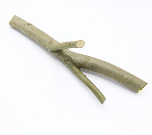 Herbimals Herbimals vers Wilgenhout - STOK - uit de vriezer - circa 500 gram Herbimals Herbimals vers Wilgenhout - STOK - uit de vriezer - circa 500 gram