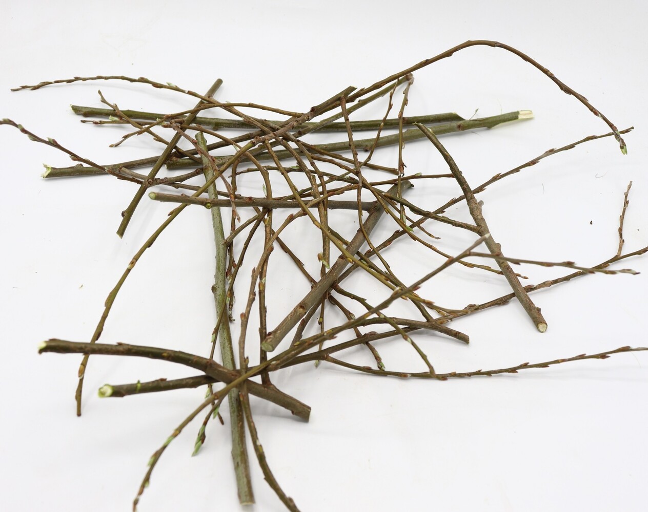 Herbimals Herbimals vers Wilgenhout - dunne twijgen - uit de vriezer - circa 400 gram Herbimals Herbimals vers Wilgenhout - dunne twijgen - uit de vriezer - circa 400 gram