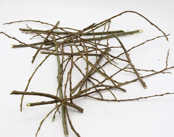 Herbimals Herbimals vers Wilgenhout - dunne twijgen - uit de vriezer - circa 400 gram Herbimals Herbimals vers Wilgenhout - dunne twijgen - uit de vriezer - circa 400 gram